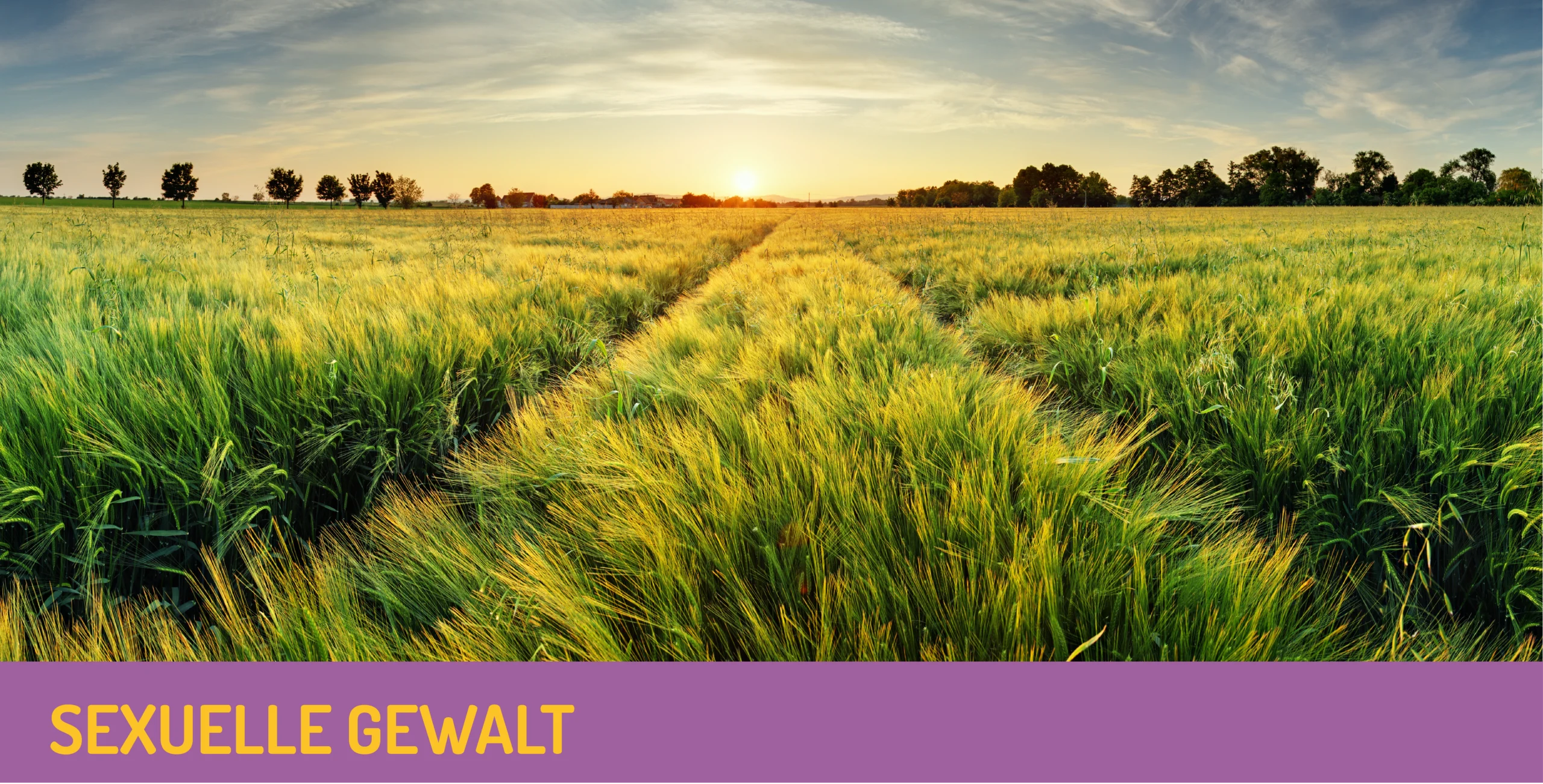 sexuellegewalt_header